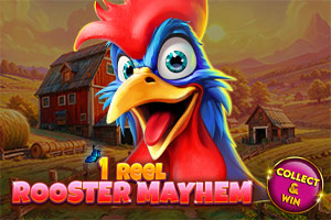 1 Reel - Rooster Mayhem