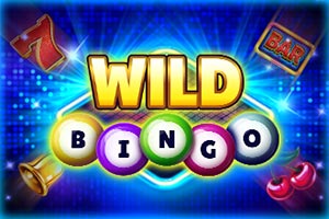 Wild Bingo